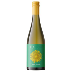 Pinot Grigio DOC delle Venezie 2022 von Talis Wine, weiß, Stahl, 0,75 l